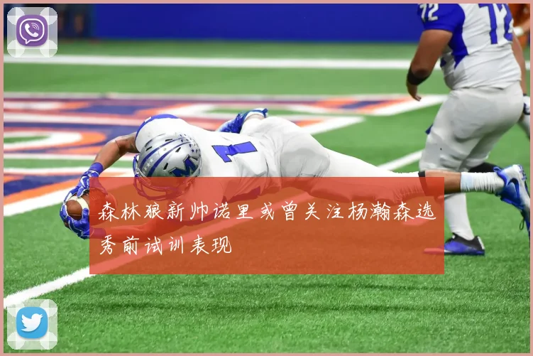 森林狼新帅诺里或曾关注杨瀚森选秀前试训表现