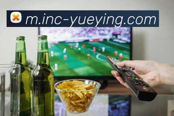 悦盈体育平台生态图